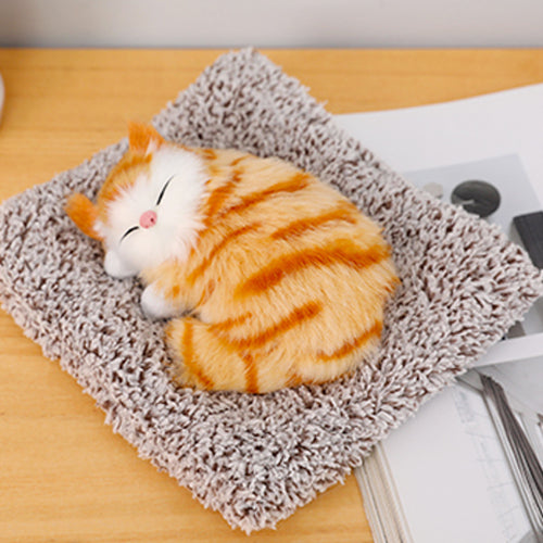 Cute Cat sleeping on a mat