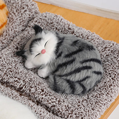 Cute Cat sleeping on a mat