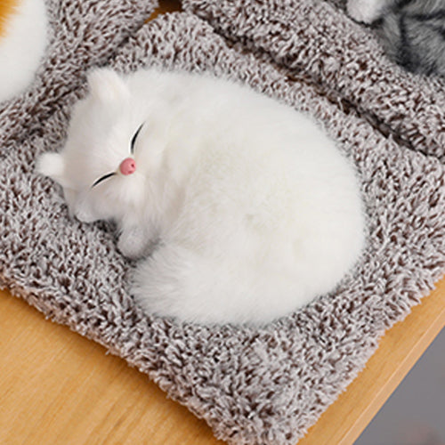 Cute Cat sleeping on a mat