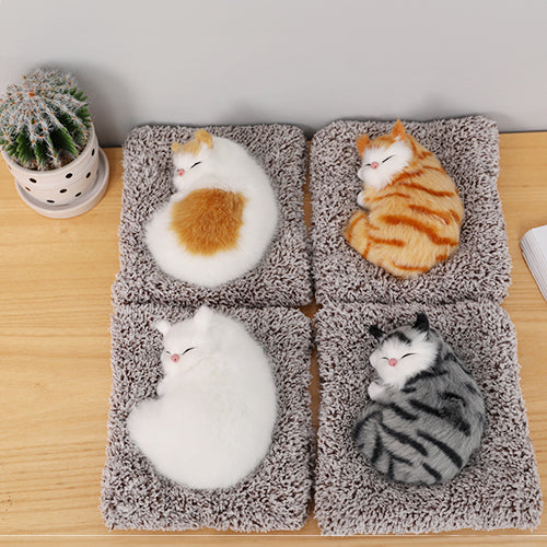 Cute Cat sleeping on a mat