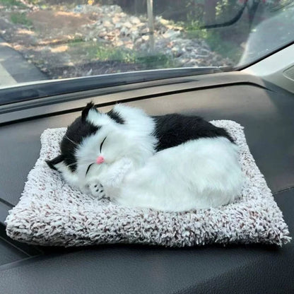 Cute Cat sleeping on a mat