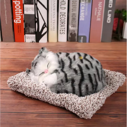 Cute Cat sleeping on a mat